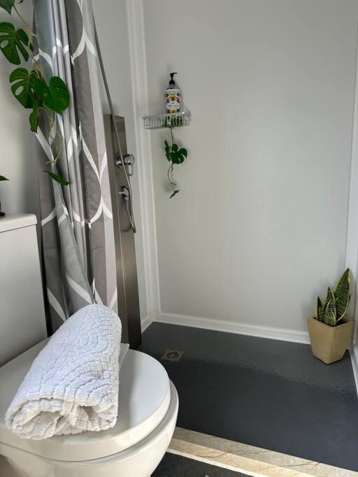 Tiny Serenity! Holiday home *